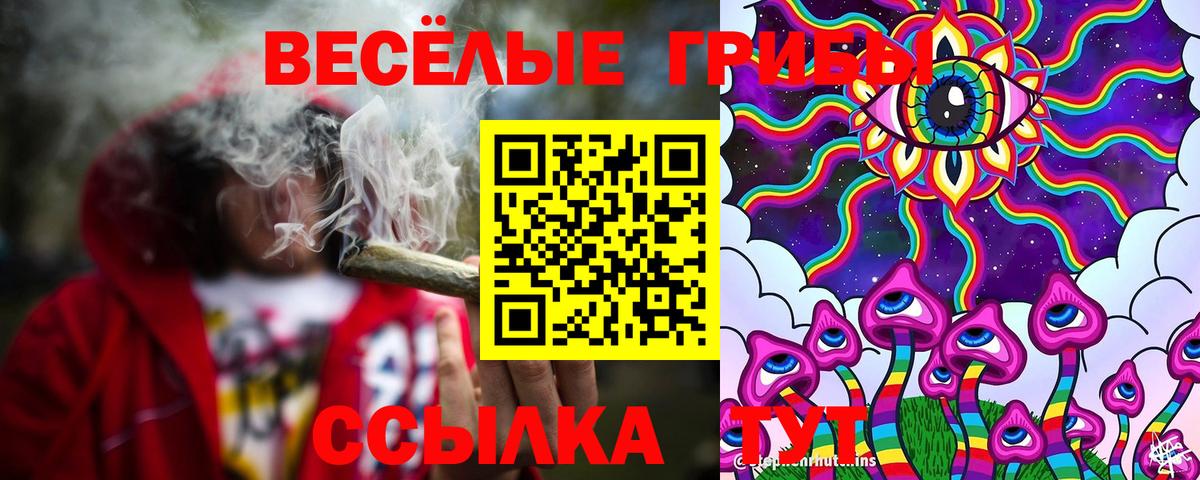 Псилоцибиновые грибы прущие грибы Великий Новгород