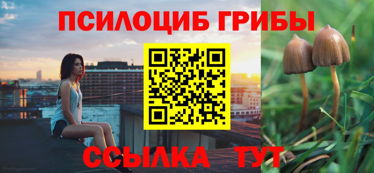 Великий Новгород  Псилоцибиновые грибы Magic Shrooms  Галлюциногенные грибы Cubensis  как найти закладки  Вход с VPN 